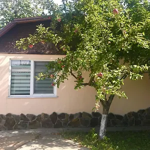  Апартаменты With Kitchen And Garden